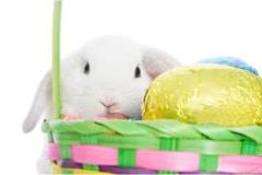 easter bunny basket and chocolate