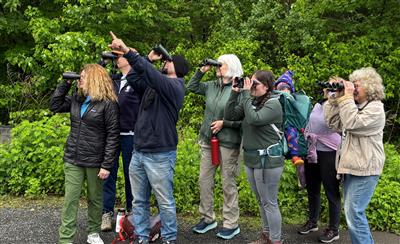 birding group with binoculars